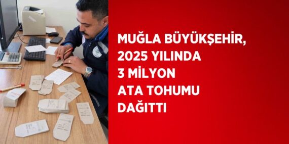 MUĞLA BÜYÜKŞEHİR, 2025 YILINDA 3 MİLYON ATA TOHUMU DAĞITTI