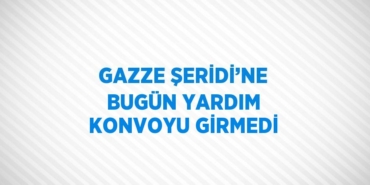 21764309212322823080tasarimli