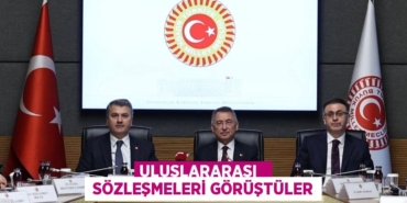 21766266072072730507tasarimli
