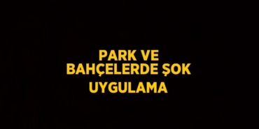 21767200692936626747tasarimli