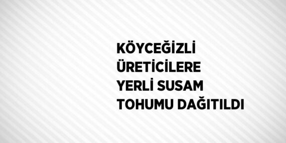 KÖYCEĞİZLİ ÜRETİCİLERE YERLİ SUSAM TOHUMU DAĞITILDI