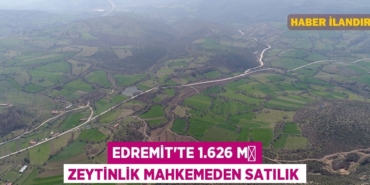 21774258122957429325tasarimli