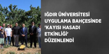 21789241472616023834