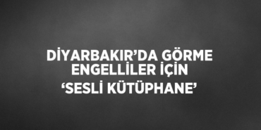 21790258932726424821tasarimli