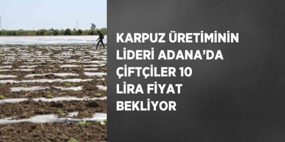KARPUZ ÜRETİMİNİN LİDERİ ADANA’DA ÇİFTÇİLER 10 LİRA FİYAT BEKLİYOR