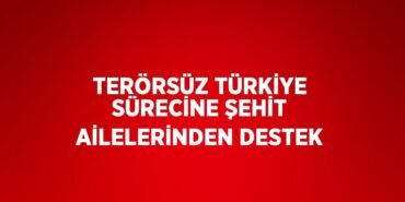 21800282062589727795tasarimli