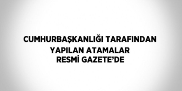 21803254162196122485tasarimli