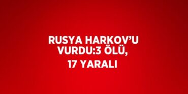 21817213042161124230tasarimli