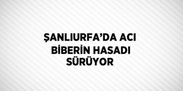 21819312842440324457tasarimli