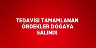 21821287762181721494tasarimli