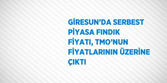 GİRESUN’DA SERBEST PİYASA FINDIK FİYATI, TMO’NUN FİYATLARININ ÜZERİNE ÇIKTI