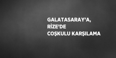 21826312192832630954