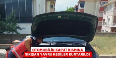 21830235012481828585tasarimli