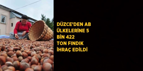 DÜZCE’DEN AB ÜLKELERİNE 5 BİN 422 TON FINDIK İHRAÇ EDİLDİ