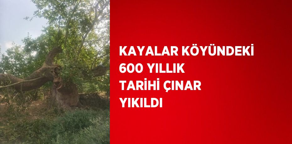 21835289722246831481