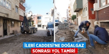 21839216602056520184tasarimli