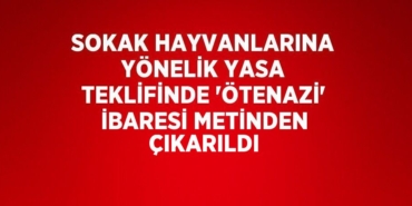 21841319152763828893tasarimli