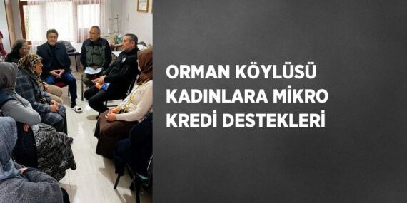 ORMAN KÖYLÜSÜ KADINLARA MİKRO KREDİ DESTEKLERİ