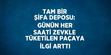 21844282562989924743tasarimli