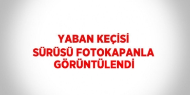 21845208902103022810tasarimli