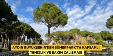 21848281922062725884tasarimli