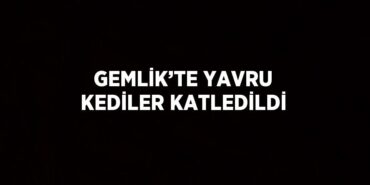21858252602213631894tasarimli