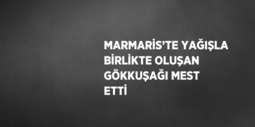 21860280112526020063