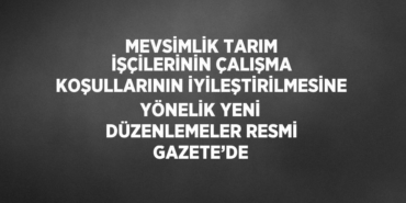 21860290702387424944tasarimli