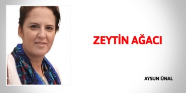 21870319302839529215