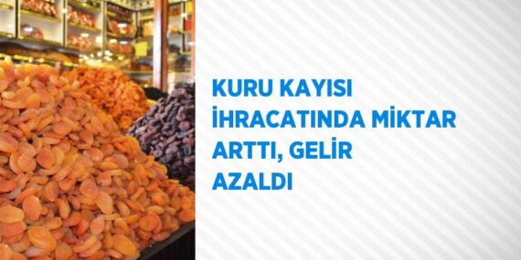 KURU KAYISI İHRACATINDA MİKTAR ARTTI, GELİR AZALDI