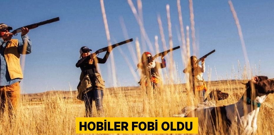 21877257352428824001