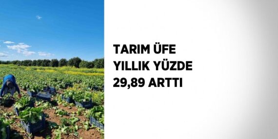 TARIM ÜFE YILLIK YÜZDE 29,89 ARTTI