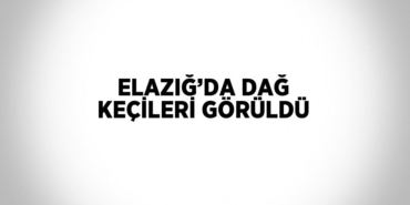 21884307862830221931tasarimli