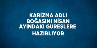 21891220832491329135tasarimli