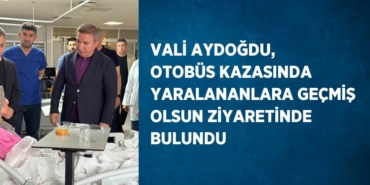 21894266463099728362