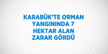 21896246692584020259tasarimli