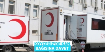 21898269682952131324tasarimli