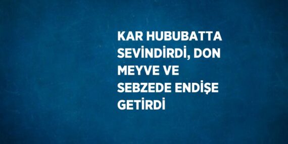 KAR HUBUBATTA SEVİNDİRDİ, DON MEYVE VE SEBZEDE ENDİŞE GETİRDİ