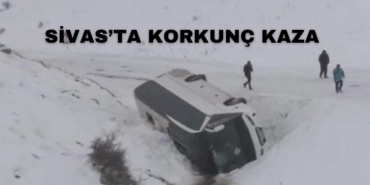 21907259553050630034