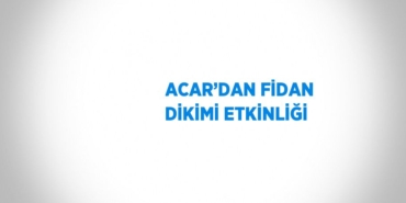 21912314752018121376