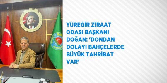 YÜREĞİR ZİRAAT ODASI BAŞKANI DOĞAN: ‘DONDAN DOLAYI BAHÇELERDE BÜYÜK TAHRİBAT VAR’