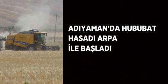ADIYAMAN’DA HUBUBAT HASADI ARPA İLE BAŞLADI