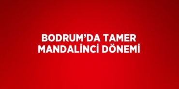 21934307692388728109tasarimli