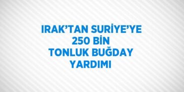 21937264672332529948tasarimli