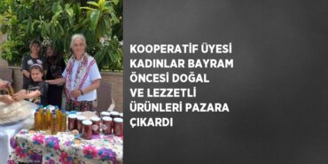 21937273772060730449