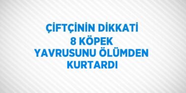 21945291232638022415tasarimli