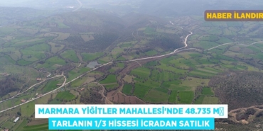 21946296772947029614tasarimli