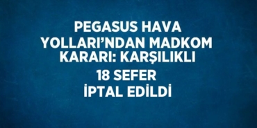21951234782634127407tasarimli
