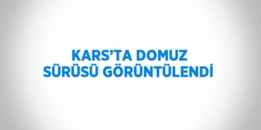 21951277413059121371tasarimli
