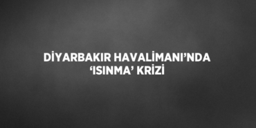 21953312212766329084tasarimli